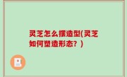 灵芝怎么摆造型(灵芝如何塑造形态？)
