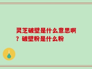 灵芝破壁是什么意思啊？破壁粉是什么粉
