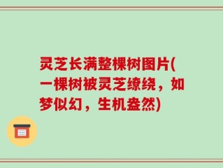 灵芝长满整棵树图片(一棵树被灵芝缭绕，如梦似幻，生机盎然)