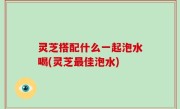 灵芝搭配什么一起泡水喝(灵芝最佳泡水)