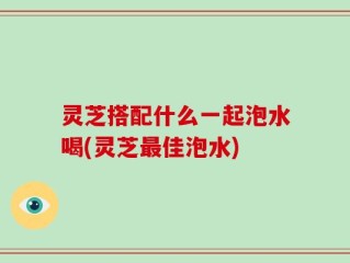 灵芝搭配什么一起泡水喝(灵芝最佳泡水)