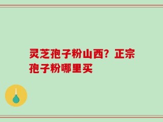 灵芝孢子粉山西？正宗孢子粉哪里买