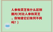 人参和灵芝有什么区别图片(对比人参和灵芝，你知道它们有何不同吗？)