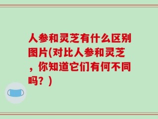 人参和灵芝有什么区别图片(对比人参和灵芝，你知道它们有何不同吗？)