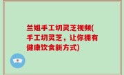 兰姐手工切灵芝视频(手工切灵芝，让你拥有健康饮食新方式)