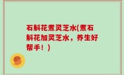 石斛花煮灵芝水(煮石斛花加灵芝水，养生好帮手！)