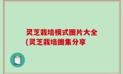 灵芝栽培模式图片大全(灵芝栽培图集分享