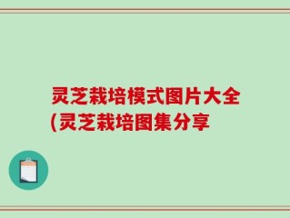 灵芝栽培模式图片大全(灵芝栽培图集分享