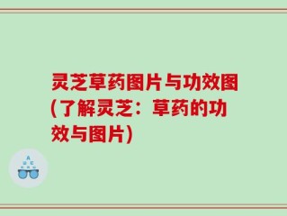灵芝草药图片与功效图(了解灵芝：草药的功效与图片)