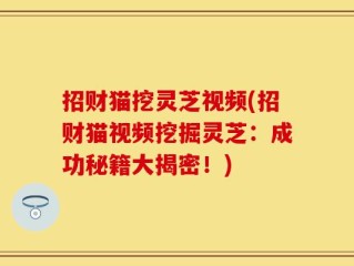 招财猫挖灵芝视频(招财猫视频挖掘灵芝：成功秘籍大揭密！)