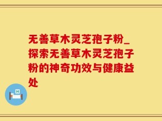 无善草木灵芝孢子粉_探索无善草木灵芝孢子粉的神奇功效与健康益处