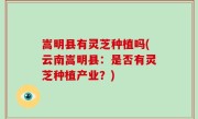 嵩明县有灵芝种植吗(云南嵩明县：是否有灵芝种植产业？)