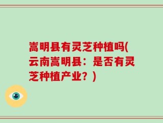 嵩明县有灵芝种植吗(云南嵩明县：是否有灵芝种植产业？)