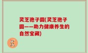 灵芝孢子圆(灵芝孢子圆——助力健康养生的自然宝藏)