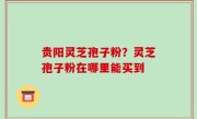 贵阳灵芝孢子粉？灵芝孢子粉在哪里能买到