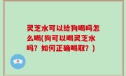灵芝水可以给狗喝吗怎么喝(狗可以喝灵芝水吗？如何正确喝取？)