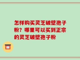 怎样购买灵芝破壁孢子粉？哪里可以买到正宗的灵芝破壁孢子粉