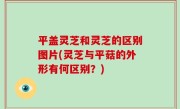 平盖灵芝和灵芝的区别图片(灵芝与平菇的外形有何区别？)