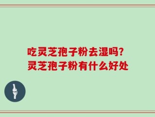吃灵芝孢子粉去湿吗？灵芝孢子粉有什么好处