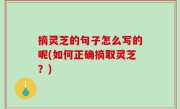 摘灵芝的句子怎么写的呢(如何正确摘取灵芝？)