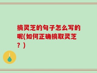 摘灵芝的句子怎么写的呢(如何正确摘取灵芝？)