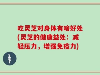 吃灵芝对身体有啥好处(灵芝的健康益处：减轻压力，增强免疫力)