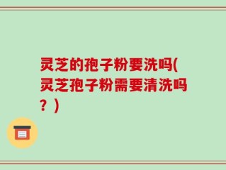 灵芝的孢子粉要洗吗(灵芝孢子粉需要清洗吗？)