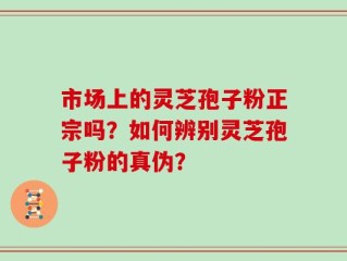 市场上的灵芝孢子粉正宗吗？如何辨别灵芝孢子粉的真伪？
