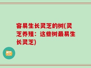 容易生长灵芝的树(灵芝养殖：这些树最易生长灵芝)