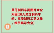 灵芝制药车间图片大全大图(深入灵芝制药车间，享受制药工艺之美，细节展示大全)