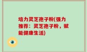 培力灵芝孢子粉(强力推荐：灵芝孢子粉，赋能健康生活)