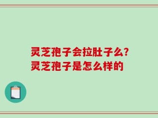 灵芝孢子会拉肚子么？灵芝孢子是怎么样的