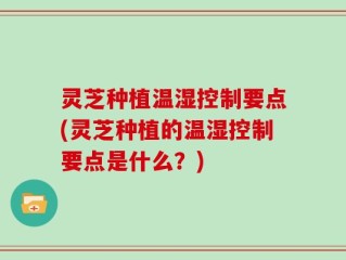 灵芝种植温湿控制要点(灵芝种植的温湿控制要点是什么？)