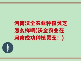 河南沃全农业种植灵芝怎么样啊(沃全农业在河南成功种植灵芝！)