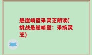 悬崖峭壁采灵芝朗读(挑战悬崖峭壁：采摘灵芝)