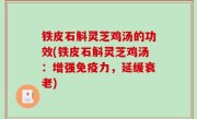 铁皮石斛灵芝鸡汤的功效(铁皮石斛灵芝鸡汤：增强免疫力，延缓衰老)