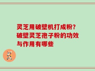 灵芝用破壁机打成粉？破壁灵芝孢子粉的功效与作用有哪些