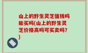 山上的野生灵芝值钱吗能买吗(山上的野生灵芝价格高吗可买卖吗？)