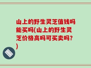 山上的野生灵芝值钱吗能买吗(山上的野生灵芝价格高吗可买卖吗？)