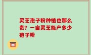 灵芝孢子粉种植也那么贵？一亩灵芝能产多少孢子粉