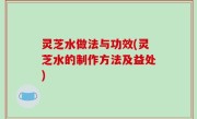 灵芝水做法与功效(灵芝水的制作方法及益处)