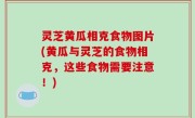 灵芝黄瓜相克食物图片(黄瓜与灵芝的食物相克，这些食物需要注意！)