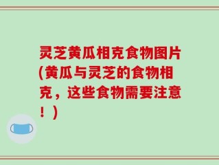灵芝黄瓜相克食物图片(黄瓜与灵芝的食物相克，这些食物需要注意！)