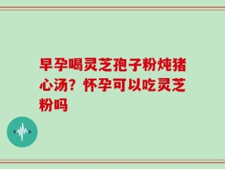 早孕喝灵芝孢子粉炖猪心汤？怀孕可以吃灵芝粉吗