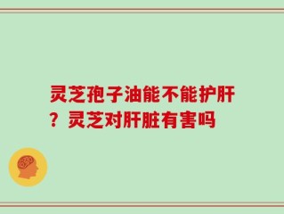 灵芝孢子油能不能护肝？灵芝对肝脏有害吗