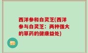 西洋参和白灵芝(西洋参与白灵芝：两种强大的草药的健康益处)