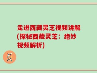 走进西藏灵芝视频讲解(探秘西藏灵芝：绝妙视频解析)