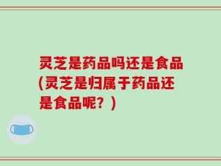 灵芝是药品吗还是食品(灵芝是归属于药品还是食品呢？)