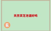 天然灵芝泡酒好吗