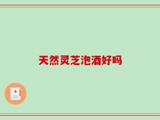 天然灵芝泡酒好吗